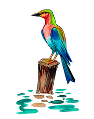 Colorful bird on wooden post. Ink and watercolor drawing