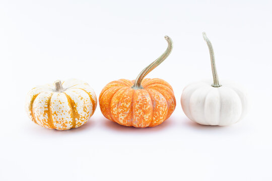 A view of three rustic pumpkins on a white background.