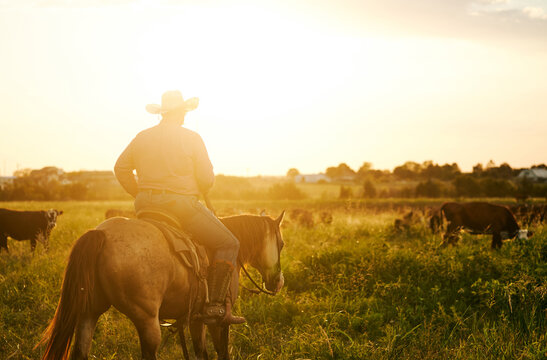 Texas countryside
