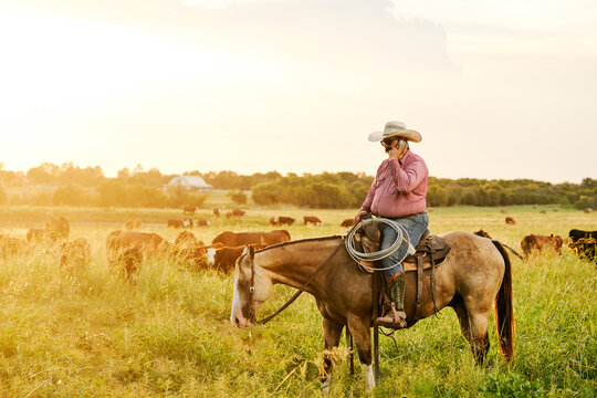 cowboy daylife
