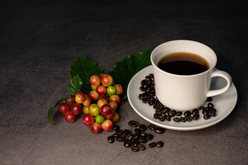 coffee beans and red ripe coffee Isolated on dark background.