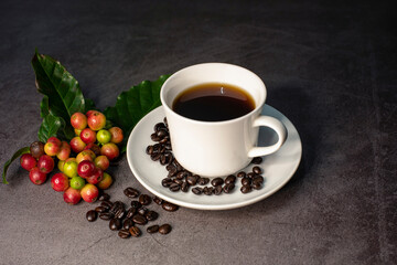 coffee beans and red ripe coffee Isolated on dark background.