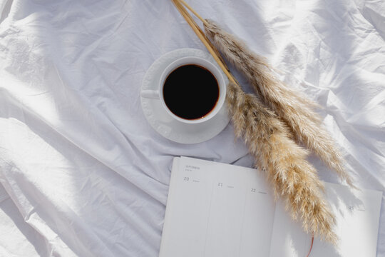Cup Of Coffee, Pampas Grass And Notebook
