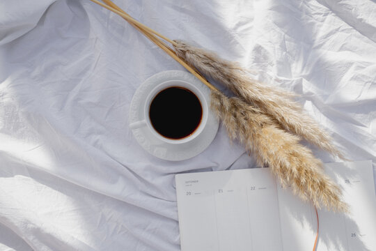 Cup Of Coffee, Pampas Grass And Notebook