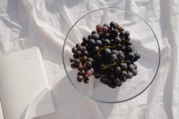 Bowl OF Grapes And Notebook 