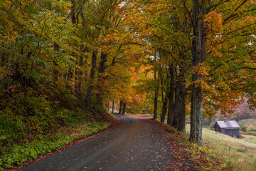 Curving Autumn Road In Vermont