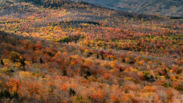 Layered Mountain Autumn Colors