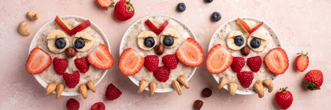 Cute owl shaped breakfast healthy oatmeal porridge for kids