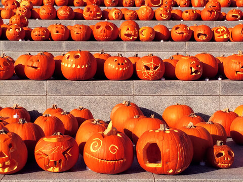 Thousands of halloween pumpkin heads 
