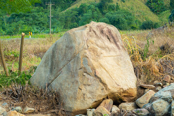 Fototapeta premium A large cheetah sedimentary rock in nature.