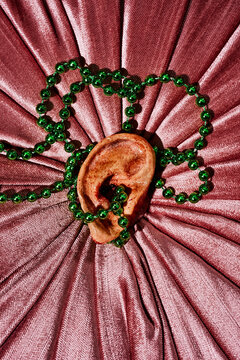 amputated ear on a pink velvet cushion