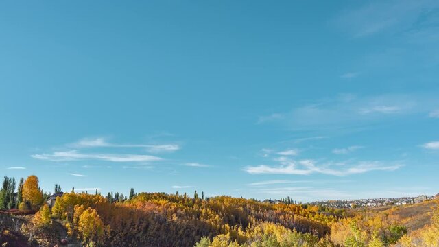 Autumn season nature background. timelapse blue sky and clouds on sunny days. clear soft blues sky good atmosphere fall warm weather. tyellow, orange color of urban. trees turn brown. season change 4k