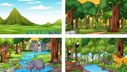 Different nature scenes of forest and rainforest with wild animals © blueringmedia