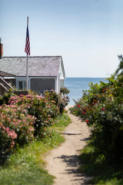 Pathway to Beach on Cape Cod 