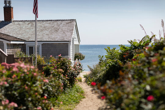Dirt Pathway to Beach on Cape Cod 
