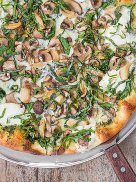 Mushroom Pizza 