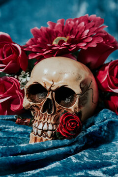 skull surrounded by flowers