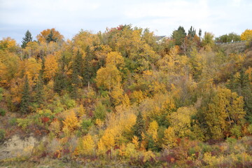 Obraz premium Riverbank Of Autumn, Gold Bar Park, Edmonton, Alberta