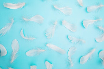 Fototapeta na wymiar small fluffy white feathers on blue background , gentle softness concept