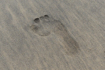 footprint in the sand