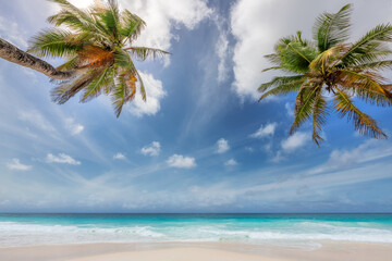 Tropical beach and sea with white sand and coco palms. Summer vacation and tropical beach concept.	