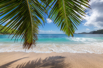 Fototapeta na wymiar Paradise sandy beach with leaves of palm trees. Summer vacation and tropical beach concept.