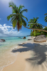 Palm trees on Sunny tropical beach.