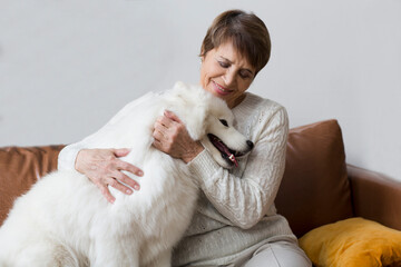 happy senior woman hugging dog  Samoyed husky sitting on sofa on Christmas holidays at home