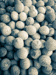 Group of mixed round colorful brown. Some sugar powder covered truffle pralines on white background