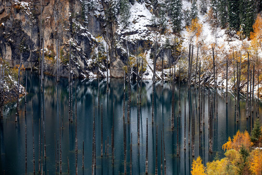 Lake Kaindy contains trunks of submerged Picea schrenkiana trees that rise above the surface of the lake. Kolsay Lakes National Park in Kazakhstan.
