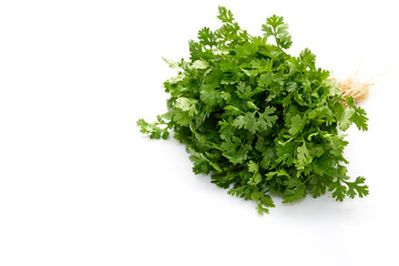 Fresh coriander leaves white background