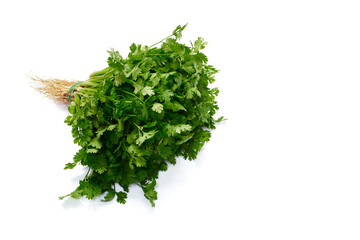 Fresh coriander leaves white background