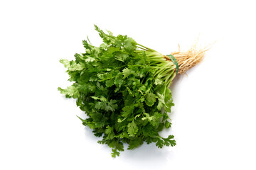 Fresh coriander leaves white background