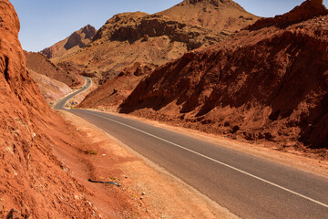 The asphalt road through the Sahara desert in Morocco, Africa