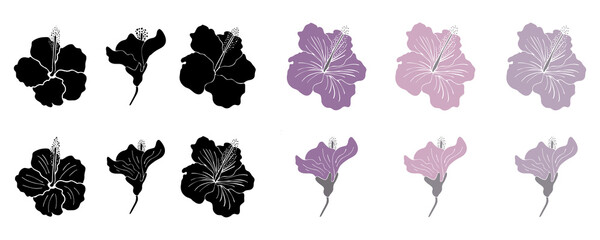 Hibiscus flower silhouette set. Isoalted on white background.