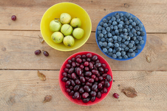 Still life with forest fruits