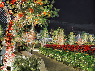 名古屋駅前ビルの夜景とクリスマスイルミネーション