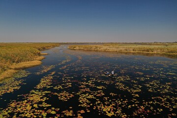 Canoe (mokoro) ride in one of the channels of the Okavango river outside the village of Seronga,...
