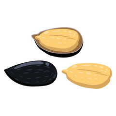 Sunflower seeds, whole and peeled, natural healthy organic nutrition product. Vector doodle cartoon flat trendy illustration hand drawn isolated