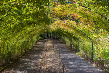 Obraz premium Garden Entrance