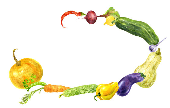 Frame of colorful garden vegetables. Hand drawn watercolor illustration