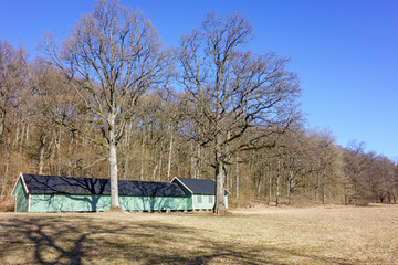 Green barn at the woods edge