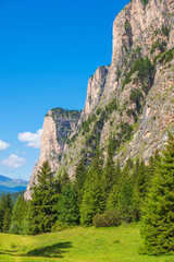 Obraz premium Rock Wall in a forest and meadow in the Alps