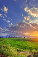 Naklejka na ściany i meble panoramic view of the morning sunrise over beautiful green rice fields with blue mountains