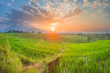 Fototapeta na wymiar beauty morning view indonesia of sunrise over beautiful green rice fields with blue mountains