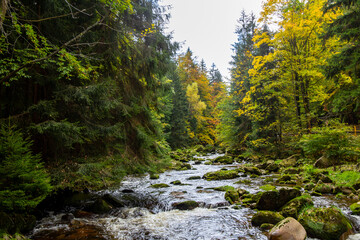 Kochel, Fluss im Riesengebirge, Polen
