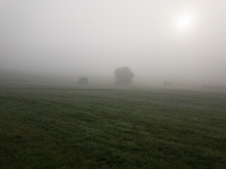 Herbstlandschaft in der Eifel