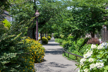 北沢川緑道（東京都世田谷区）