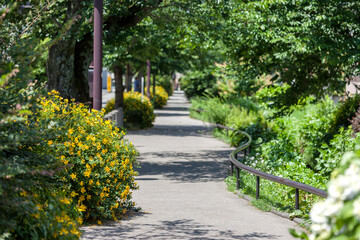 北沢川緑道（東京都世田谷区）