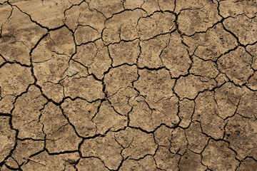 Texture of cracked dried soil. Dry ground with cracks. Brown rough surface of the soil during summer drought. Perfect for background and design. Ecology, climate change and global warming on Earth.
